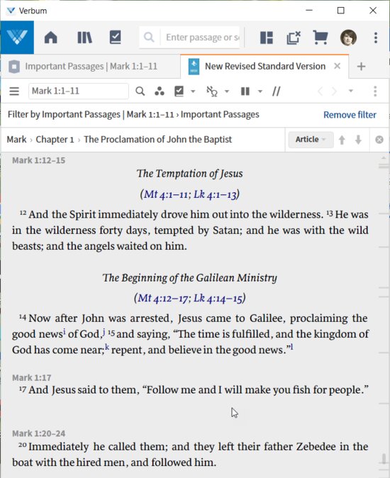 P10-11 Filtered Bible