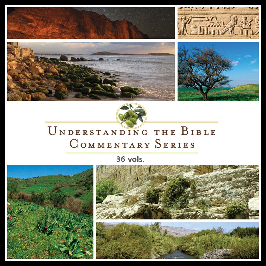 Understanding the Bible Commentary Series | UBC (36 vols.)