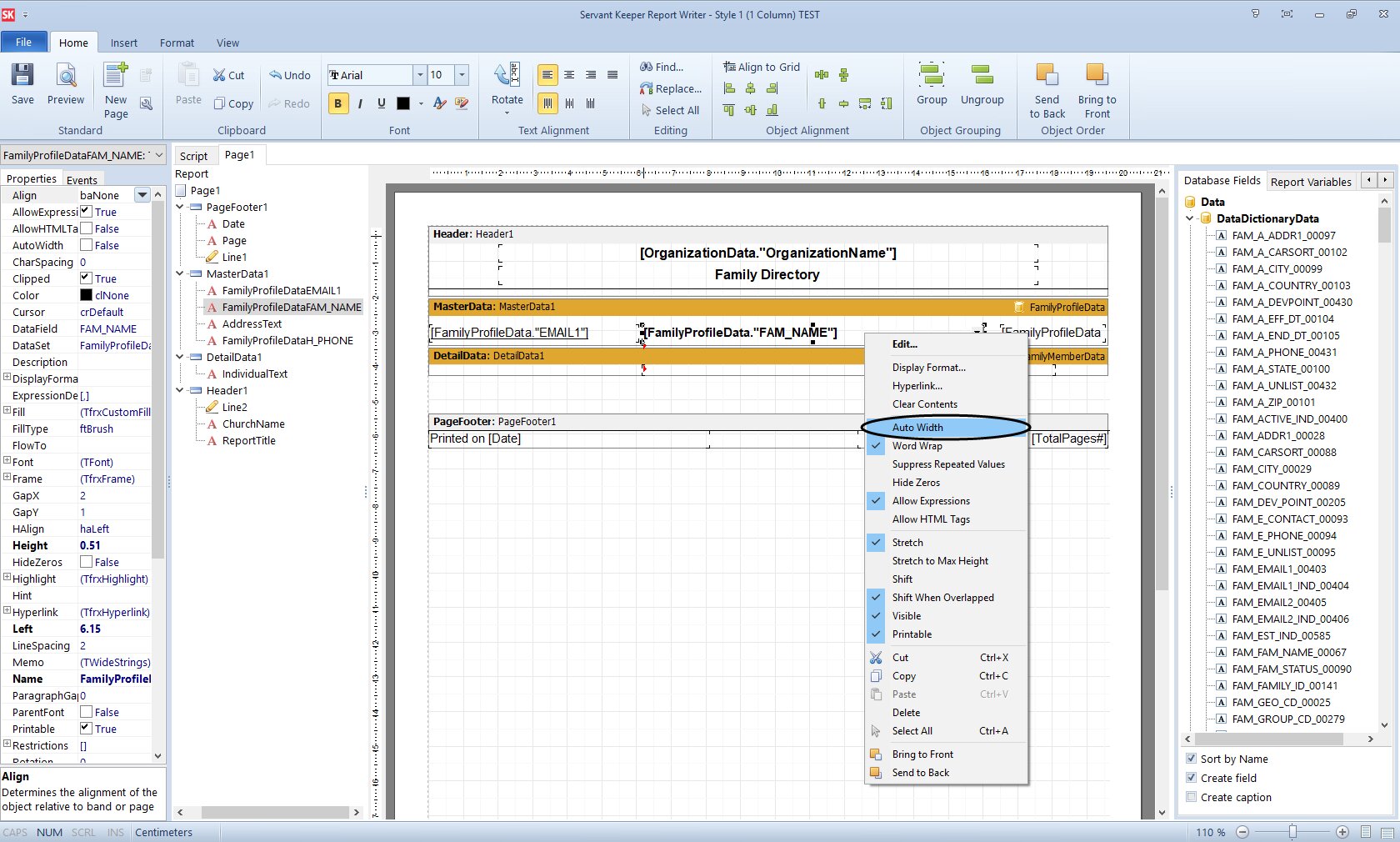 SK8 - Editing Reports Using the Report Editor