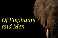 Of Elephants And Men (Newsletter)