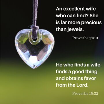 An excellent wife who can find? She is far more precious than jewels.