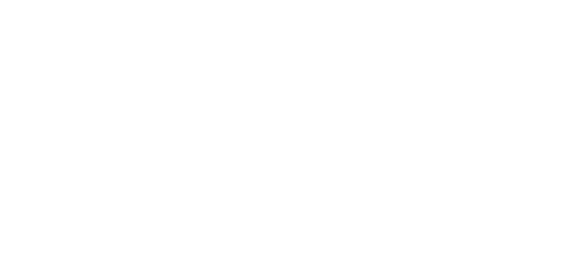 Kooperation Logos - BfP