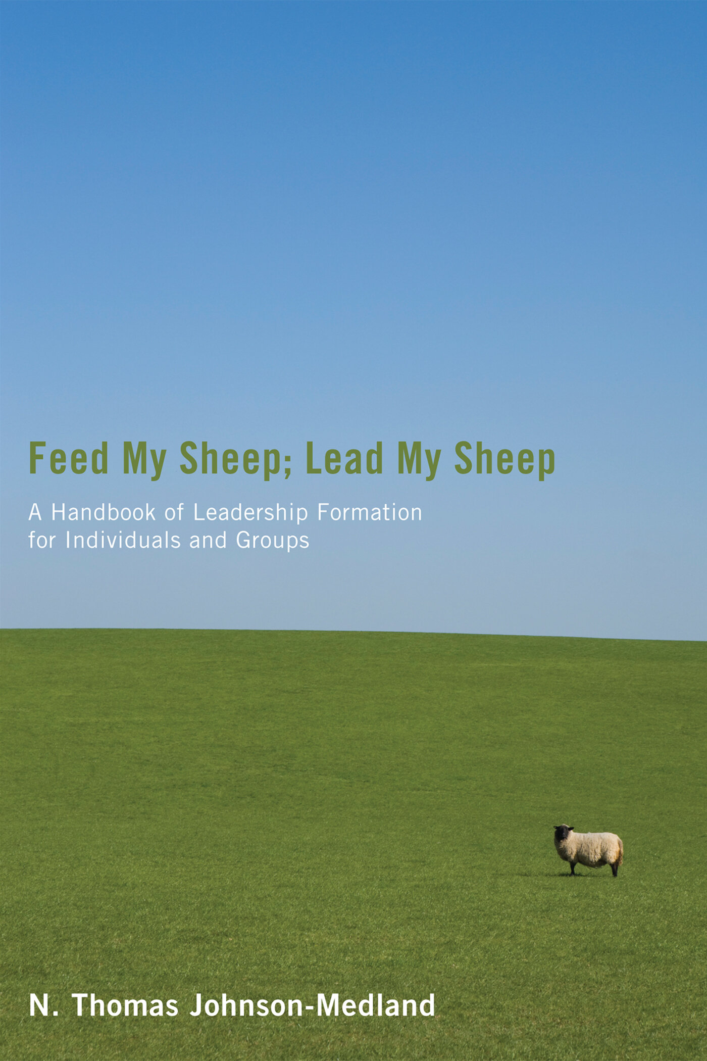 Feed My Sheep; Lead My Sheep: A Handbook of Leadership Formation for Individuals and Groups