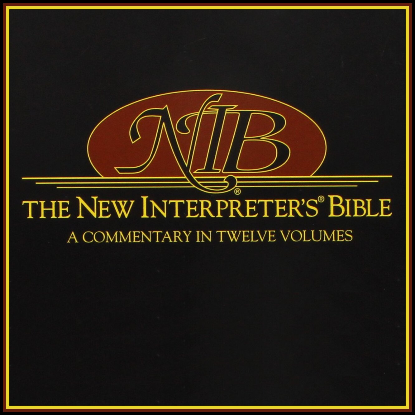 New Interpreter’s Bible: A Commentary in Twelve Volumes (NIB)