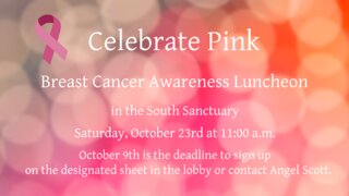 Pink Luncheon