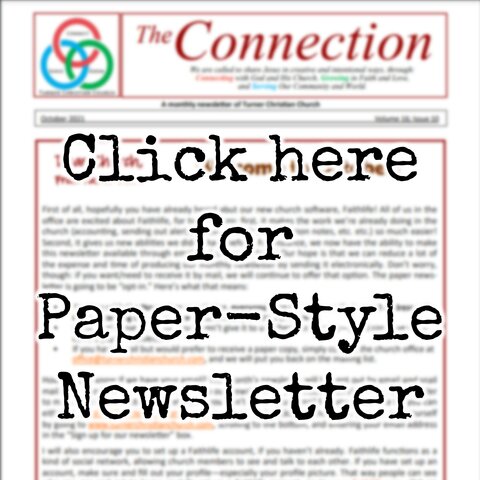 Newsletter Image 3