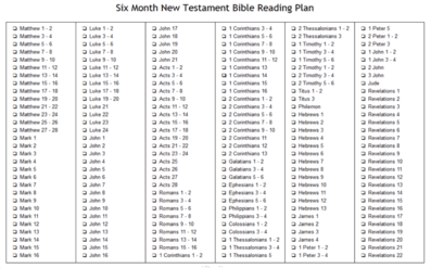 New Testament In Six Months