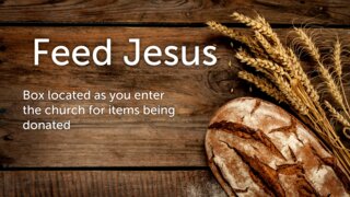 Feed Jesus