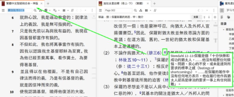 馮蔭坤加拉太書羅馬書經文注解