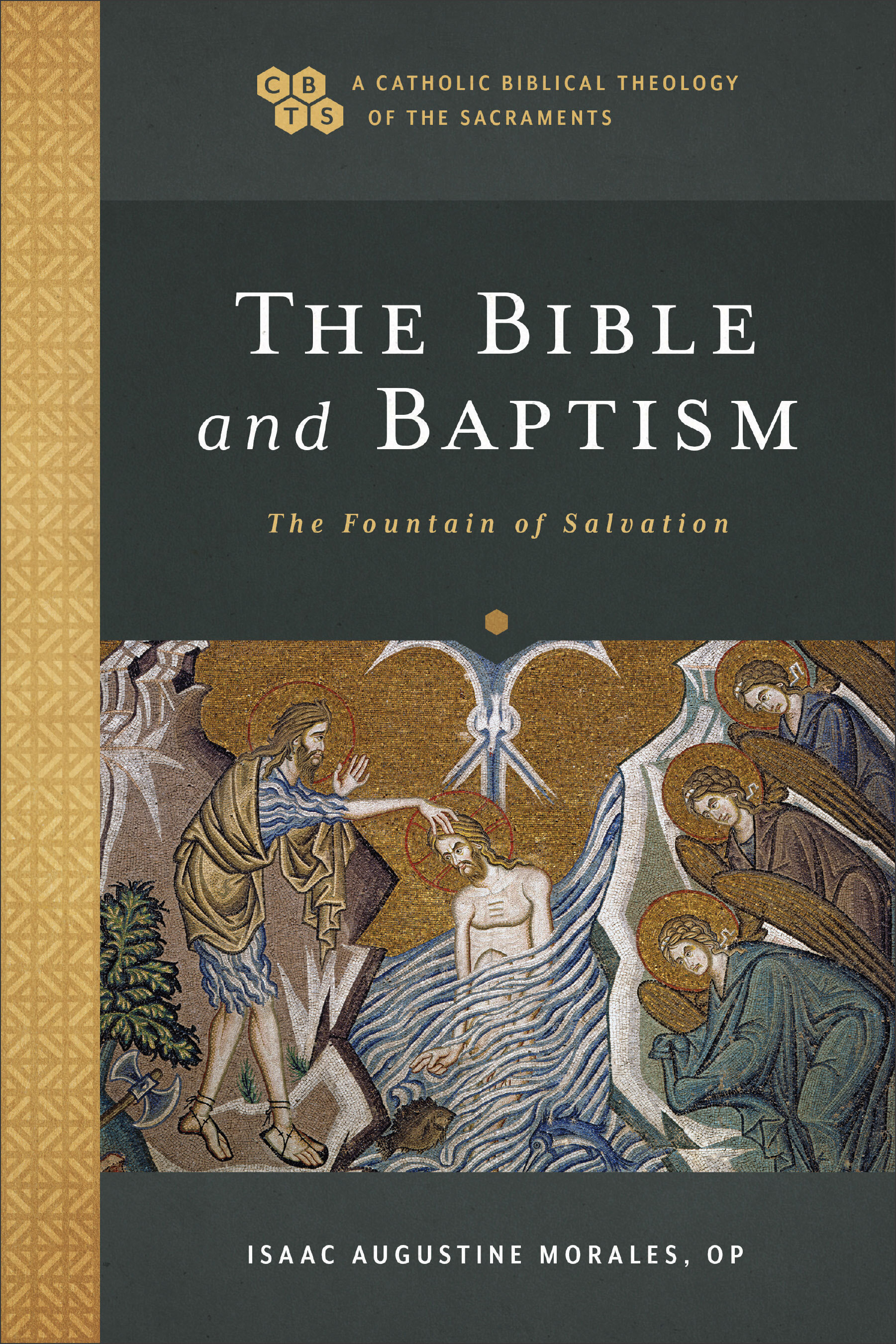 The Bible and Baptism: The Fountain of Salvation (A Catholic Biblical Theology of the Sacraments)
