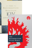 Reformed Study Bible Pack, 4 vols. (Bibles and Notes)