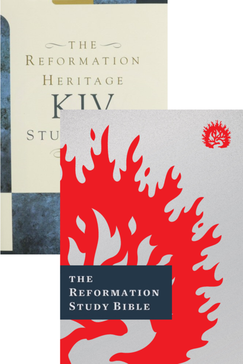 Reformed Study Bible Pack, 4 vols. (Bibles and Notes)