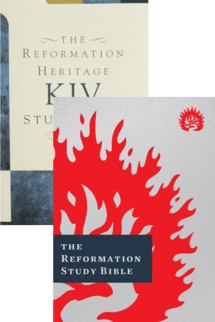 Reformed Study Bible Pack, 4 vols. (Bibles and Notes)