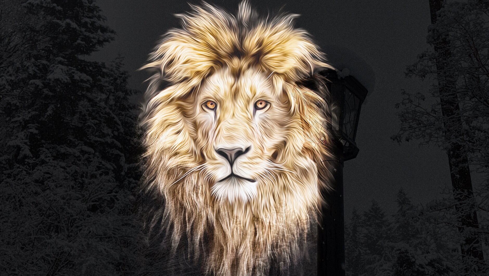 Aslan