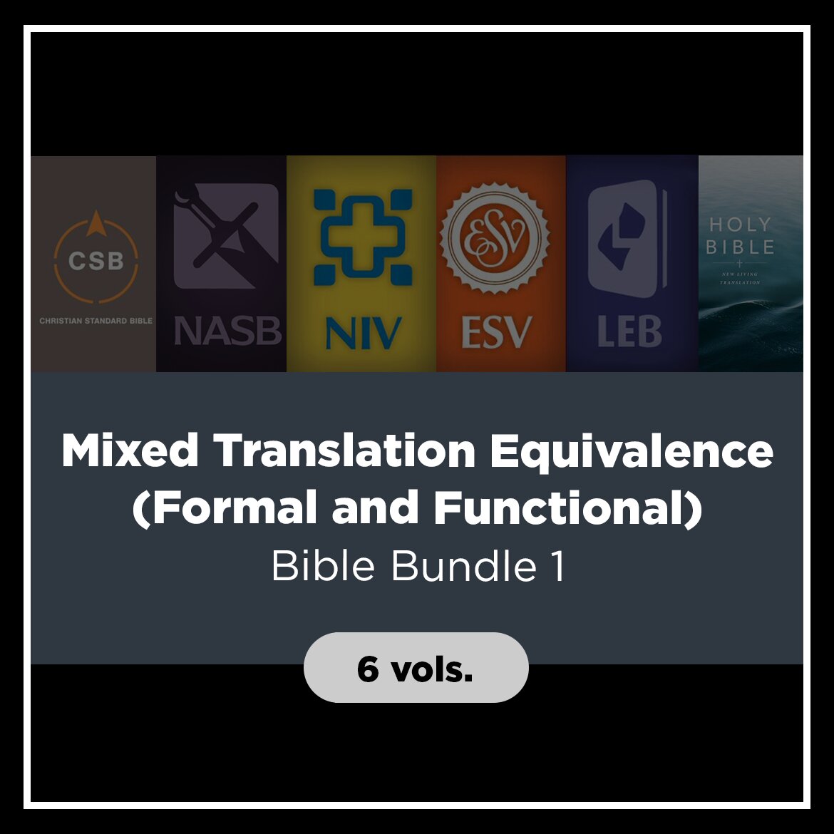 Mixed Translation Equivalence (Formal and Functional) Bible Bundle 1, 6 vols.