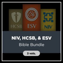 NIV, HCSB, & ESV Bible Bundle (3 vols.)