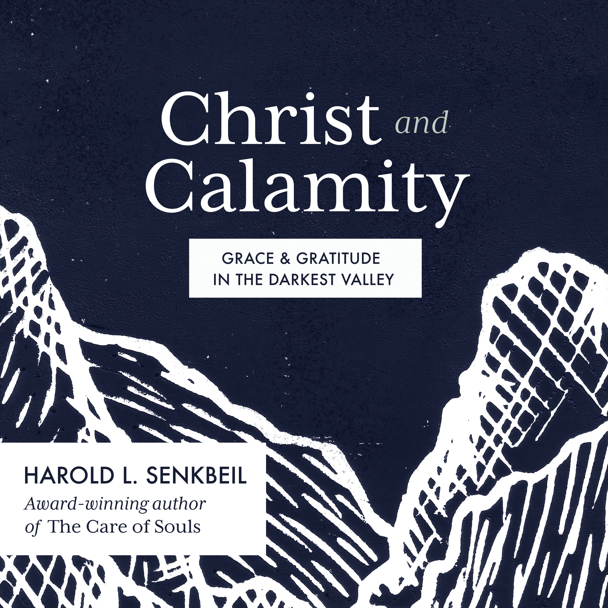 Christ and Calamity: Grace and Gratitude in the Darkest Valley (audio)