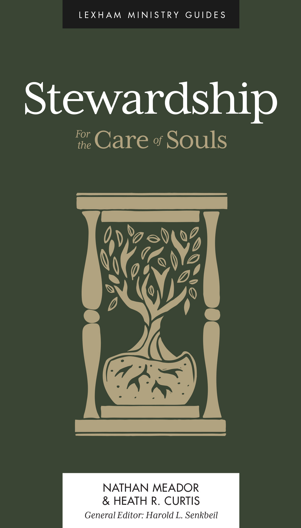 Stewardship: For the Care of Souls (Lexham Ministry Guides)