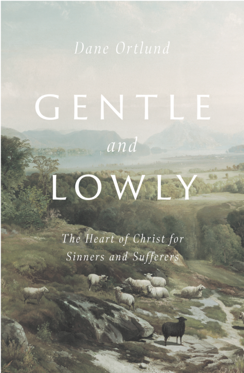 Gentle and Lowly Video Study