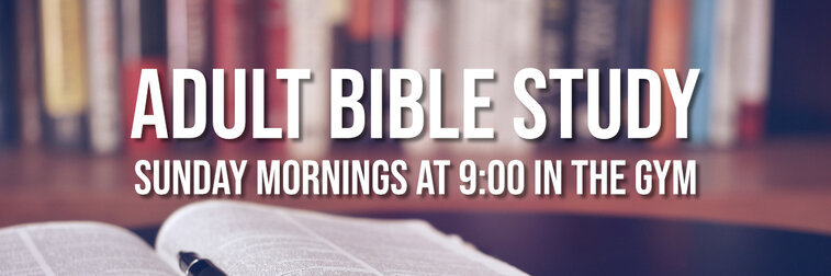 Adult Bible Study 2020 web