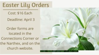 Easter Lily Orders
