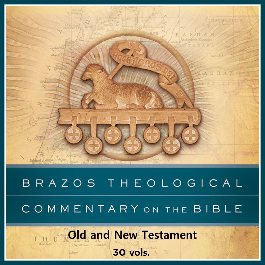 Brazos Theological Commentary on the Bible Series Collection | BTC (30 vols.)