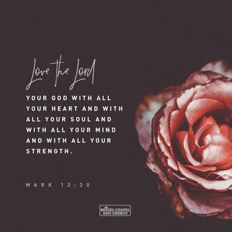 4D62CF6E-6476-4FC3-BC95-A5F2B848A1C0