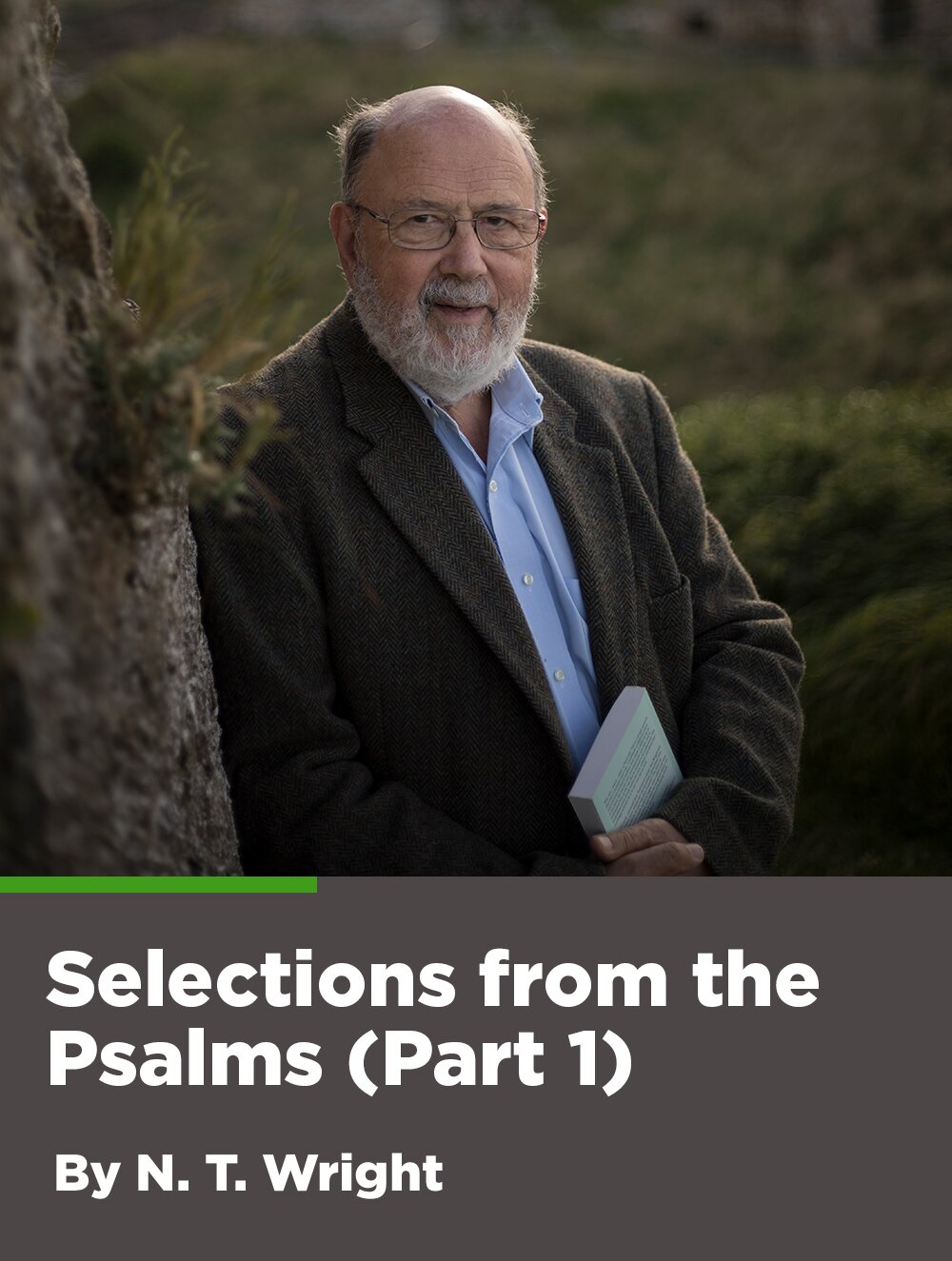 Selections from the Psalms: Part One (6.5 hour course)
