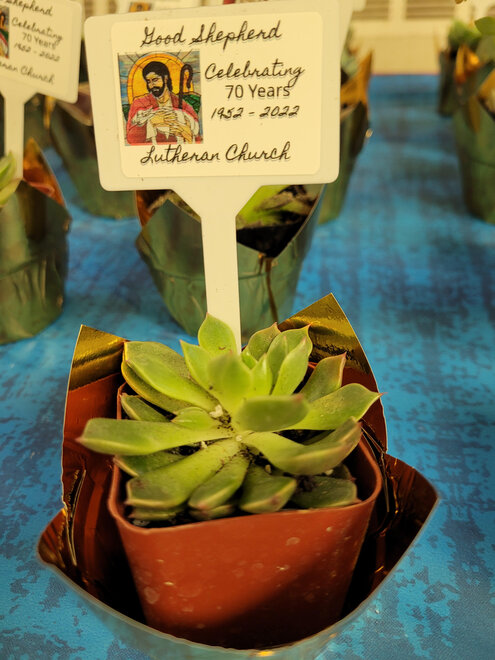 Plant