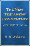 The New Testament Commentary Vol III: John