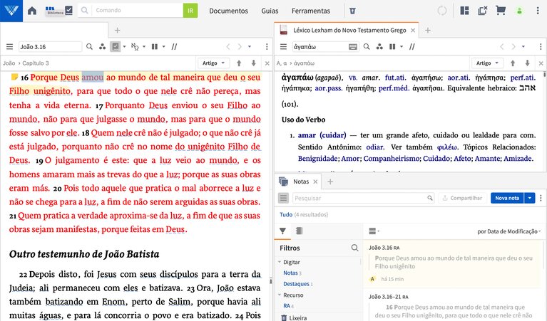 Filtros Visuais Verbum 9 Português