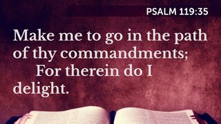 Psalm 119-35