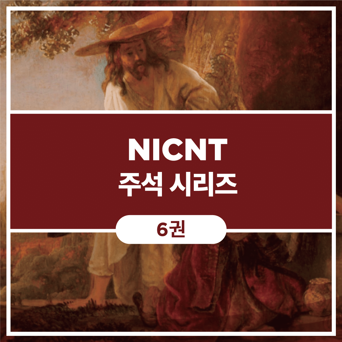 NICNT 주석 시리즈 (6권)