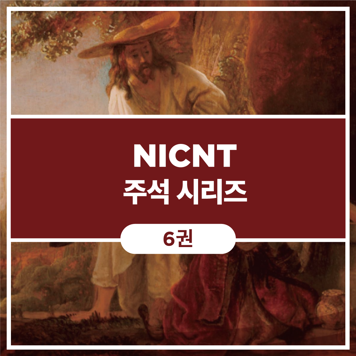 NICNT 주석 시리즈 (6권)