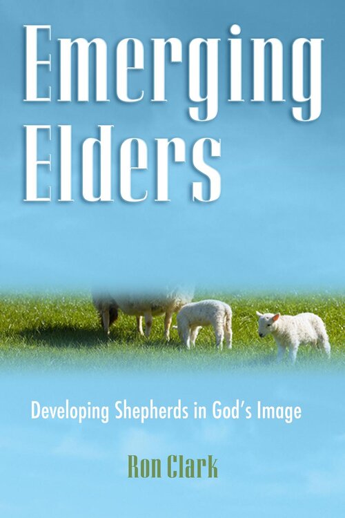 Emerging Elders: Developing Shepherd's in God's Image