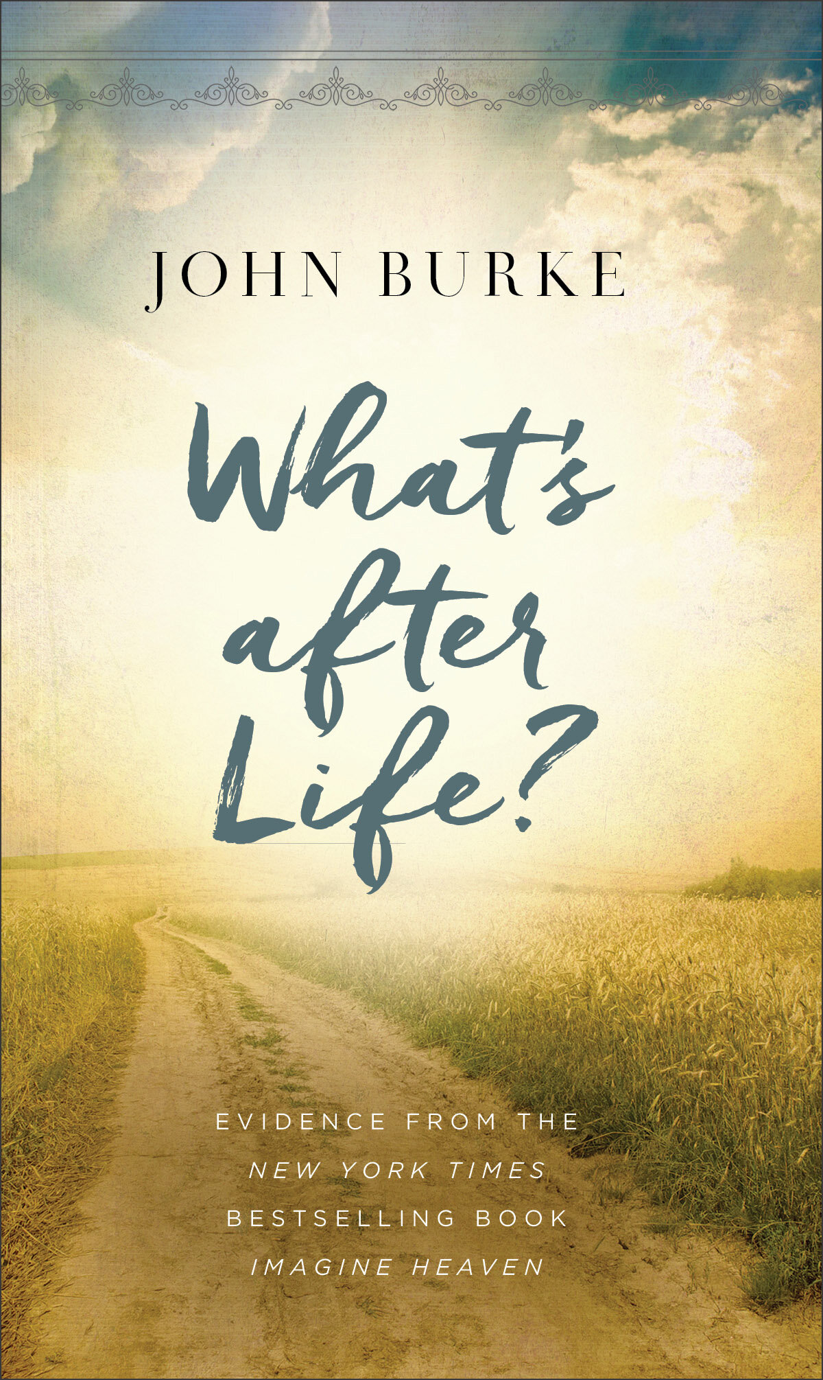What's after Life? Evidence from the New York Times Bestselling Book Imagine Heaven