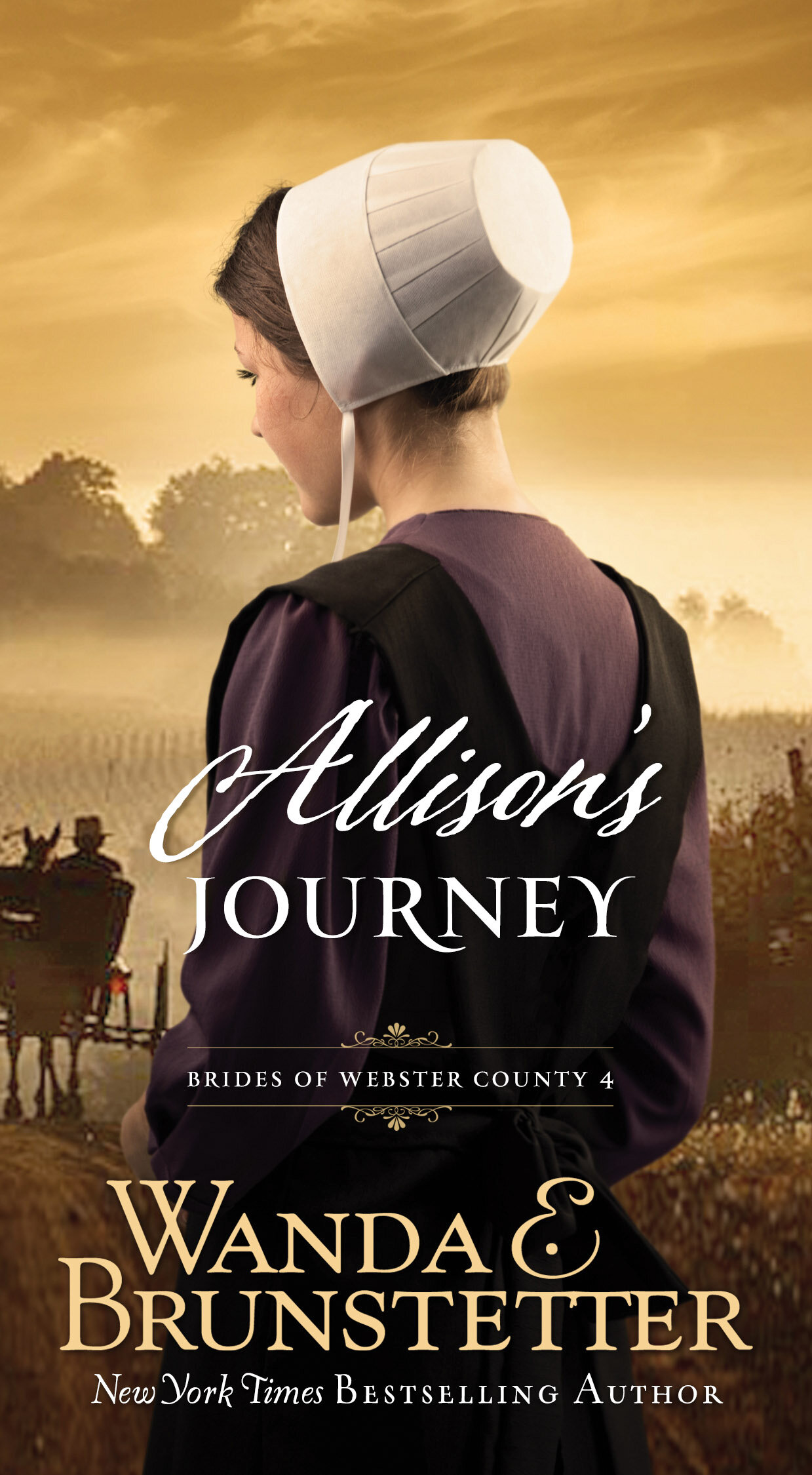 Allison's Journey: Brides of Webster County