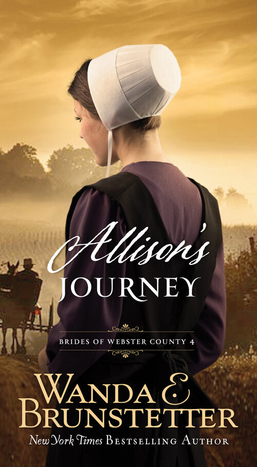 Allison's Journey: Brides of Webster County