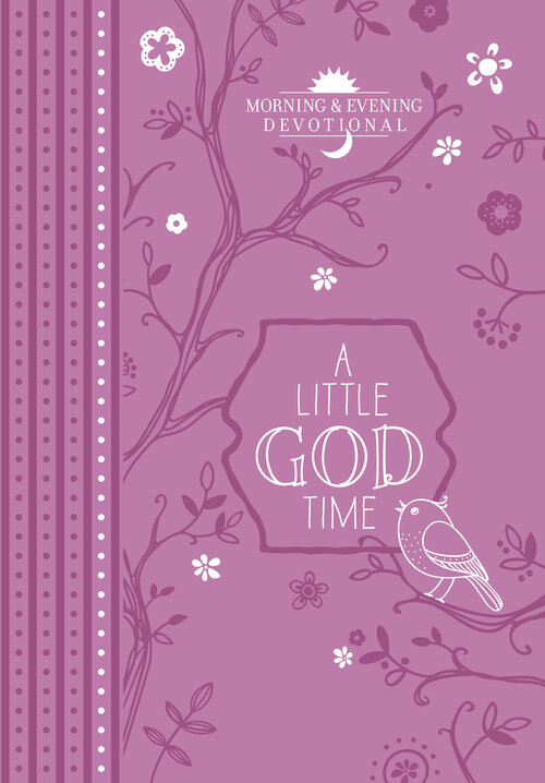 A Little God Time: Morning and Evening Devotional