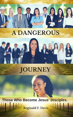 Cover of A Dangerous Journey