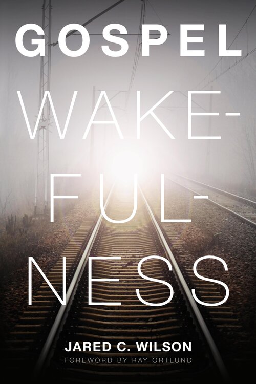 Gospel Wakefulness: Foreword by Ray Ortlund