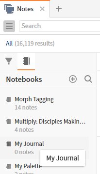 My Journal