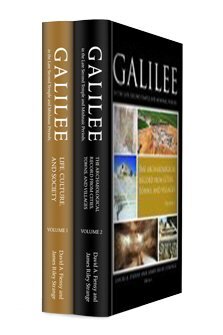 Galilee in the Late Second Temple and Mishnaic Periods (2 vols.)