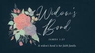 Widow's Bond