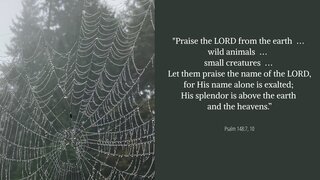 B35B4BD0-924F-4DB4-BCE7-3D60B3354AC5