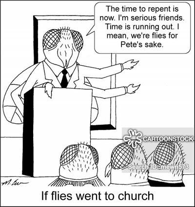 If flies went to church