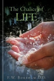 The Chalice of Life: Reflections on the Significant Stages of Life