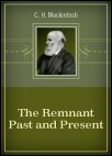 The Remnant Past and Present