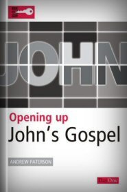 Opening Up John's Gospel (Opening Up Commentary Series)
