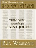 The Gospel According to St. John
